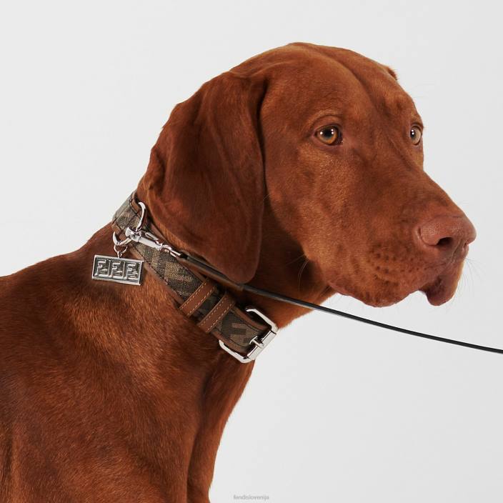 moški ovratnik iz blaga rjav Fendi dodatki Z68L451