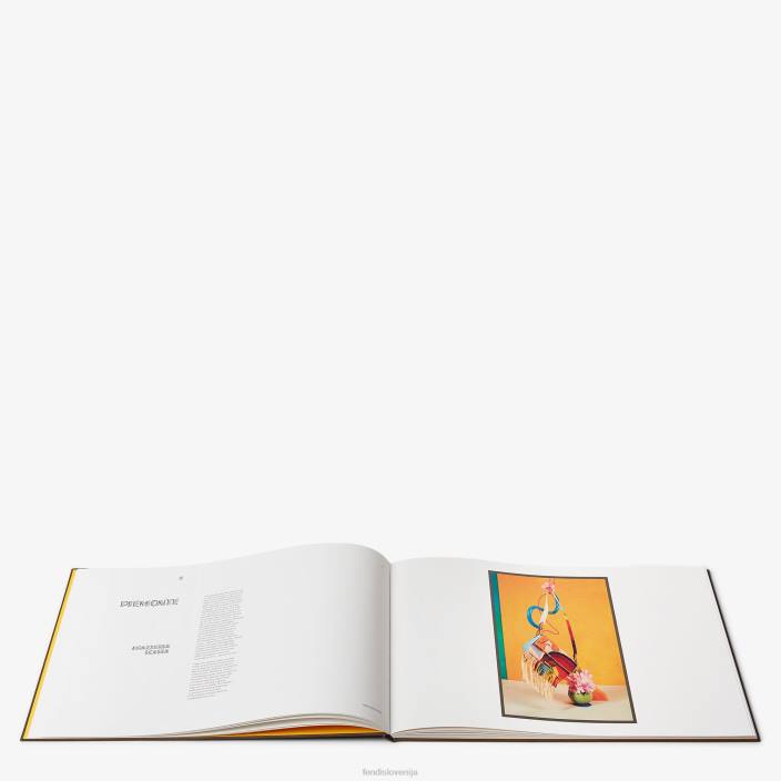 uniseks knjiga baget 