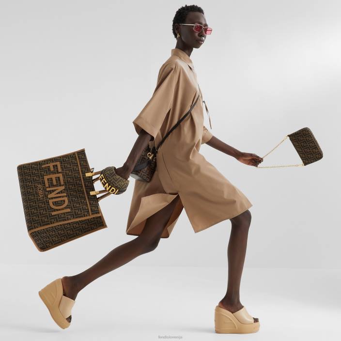 ženske čar tkanine rjav Fendi dodatki Z68L68